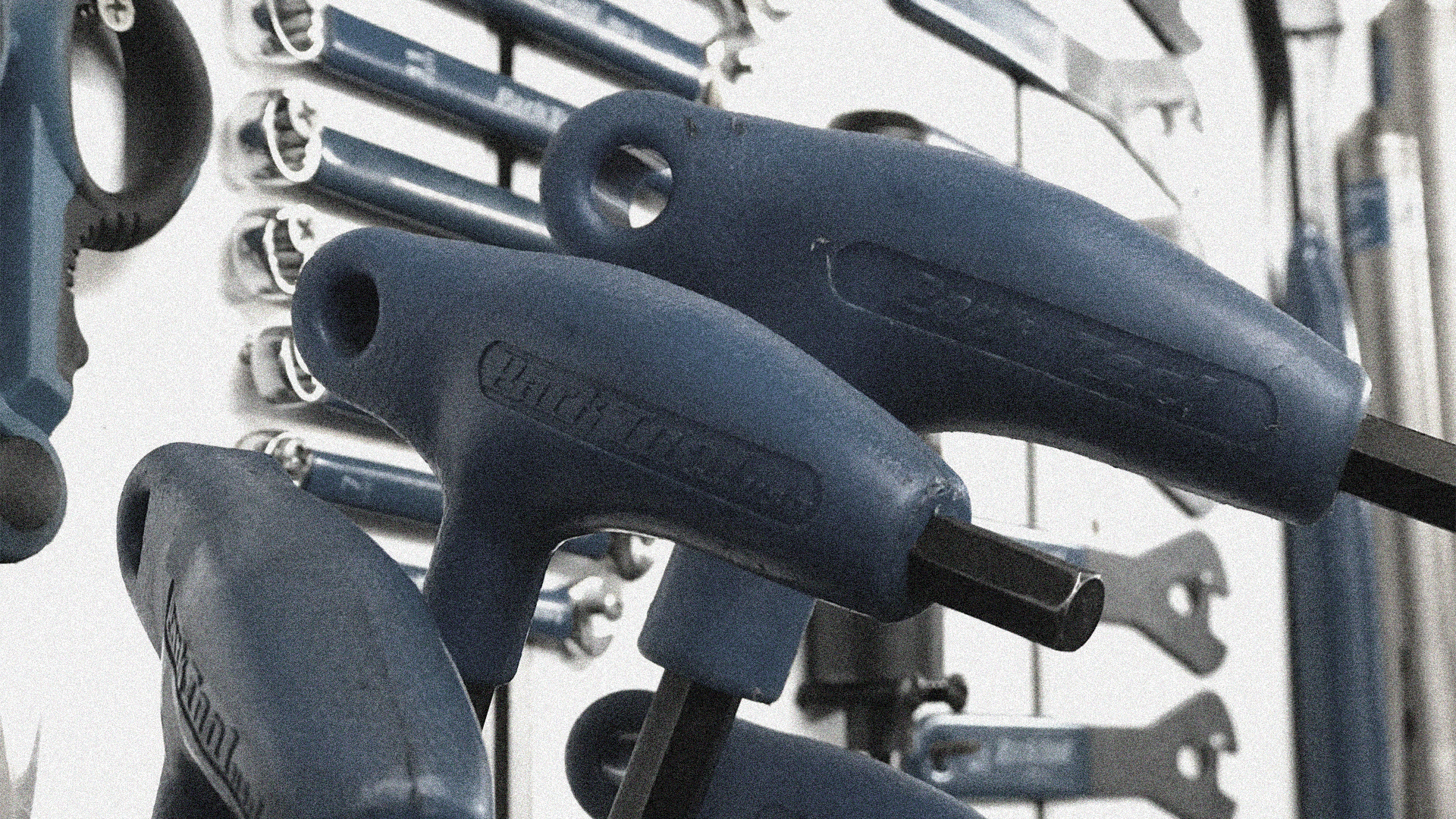 Servicios Profesionales